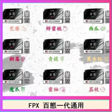 Fitpod皮革一代主機系列通用愛馬仕悅刻主機
